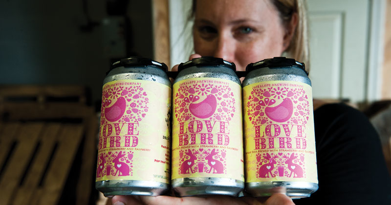 Music City Brew Hop Expands Service With a Western Route - Vimarsana News