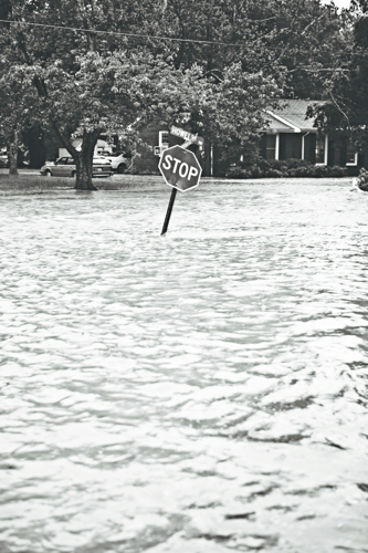 2010 Flood
