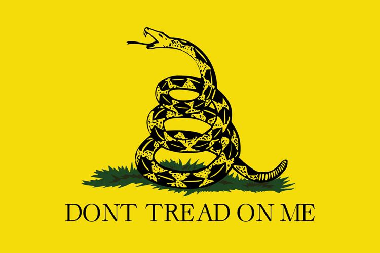 coverstory_eli-Gadsden_flag-copy.jpg