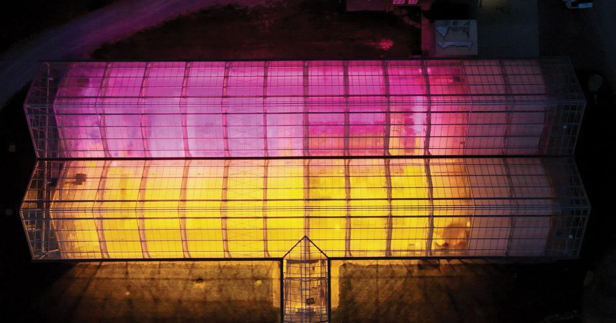 Critic's Pick: ‘How to Heal the Planet’