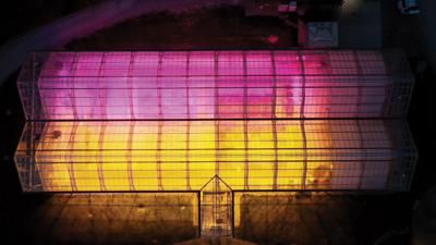 The outside of a glass building, lit purple at the top and yellow in the lower portion