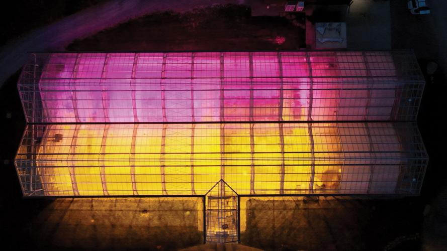 The outside of a glass building, lit purple at the top and yellow in the lower portion