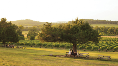 Best Socially Distanced Day Trip and Picnic Spot