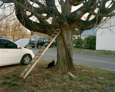 Untitled-McMinnville-TN-2025 (1).jpg