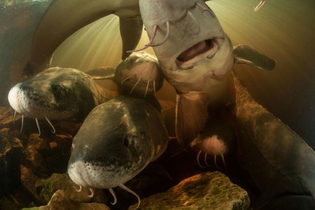 The Road Trip Issue: Chattanooga