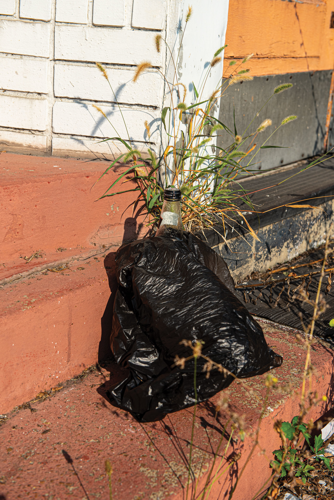 Walk a Mile: Nolensville Pike