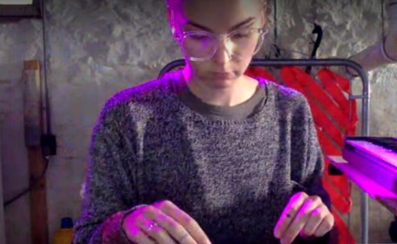 Eve Maret, Coupler and More Plug In for 12-Hour LiveDream