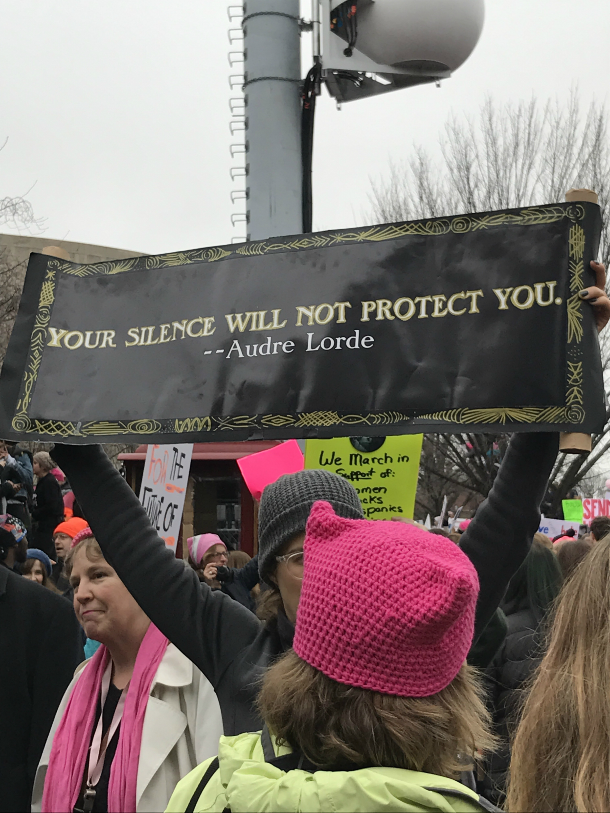 What I Saw at the D.C. March (And What I Must Do)