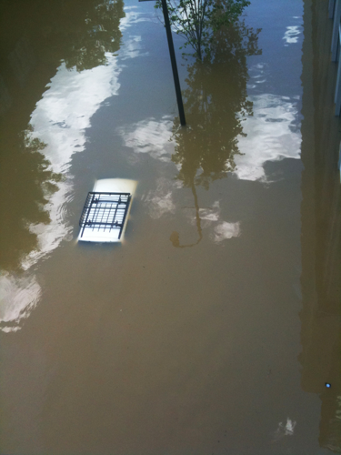 2010 Flood