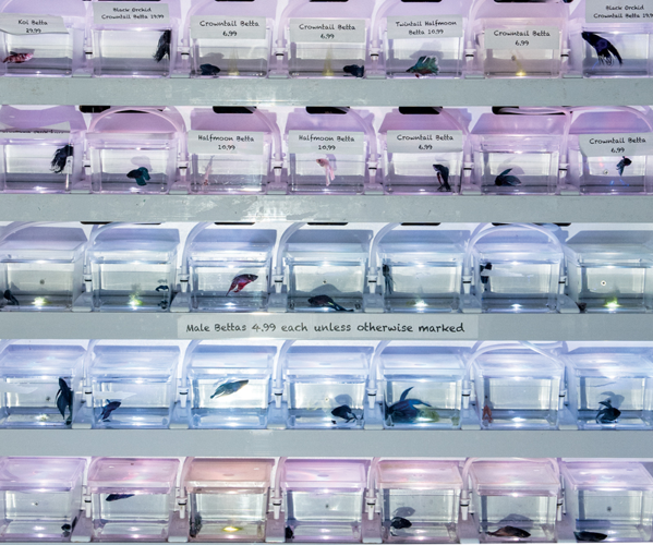 Life Aquatic: A Day at Nashville’s Exotic Creature Emporium