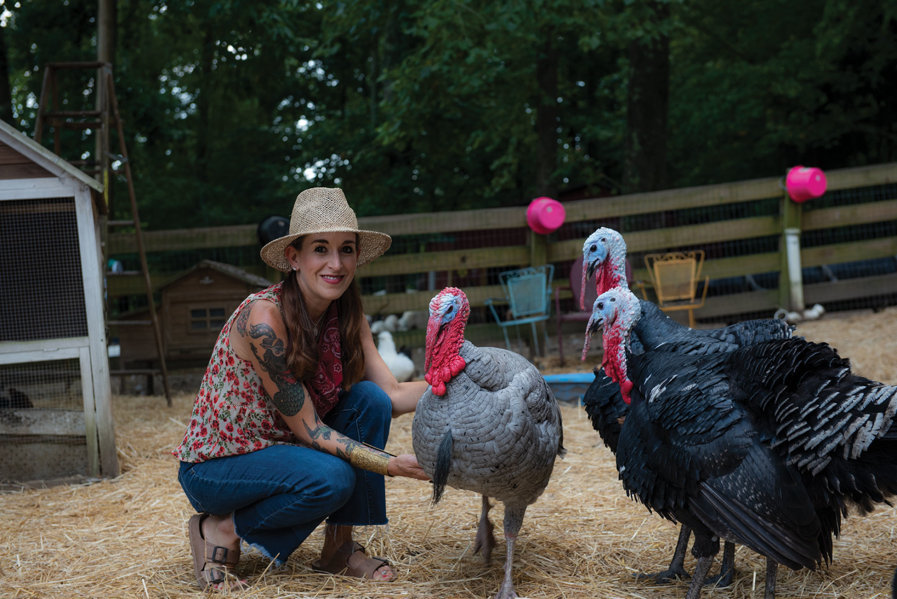 Piccolo Farms Is Home to Pigs, Chickens, a 40-Year-Old Tortoise and More