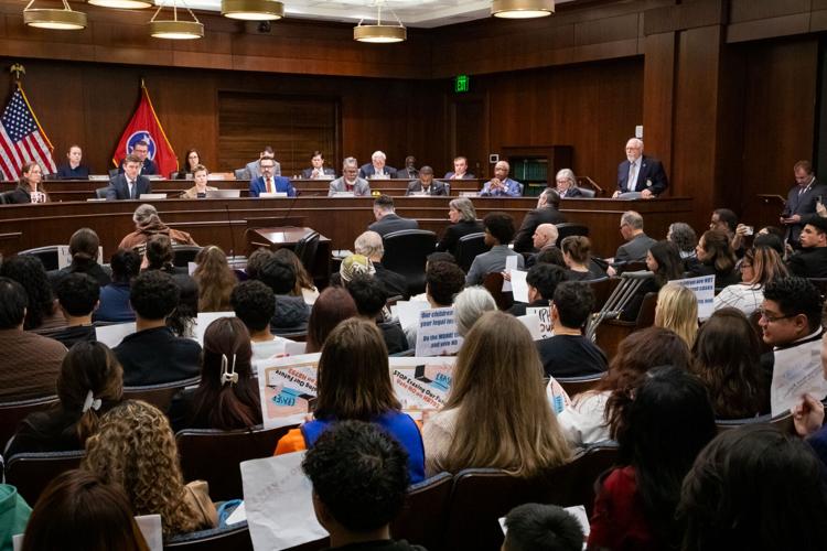 Protesters watch a committee hearing related to House Bill 793, March 4, 2026
