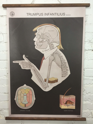 Anatomy of Trump: Sideshow Sign Co.