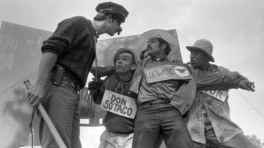 American Pachuco: The Legend of Luis Valdez