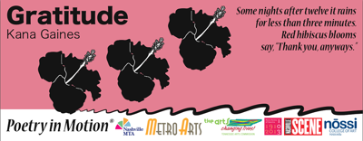 Poetry in Motion: 'Gratitude,' by Kana Gaines