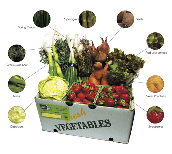 From belly ham to moonshine, seitan to ganache, a sampling of Nashville’s finest