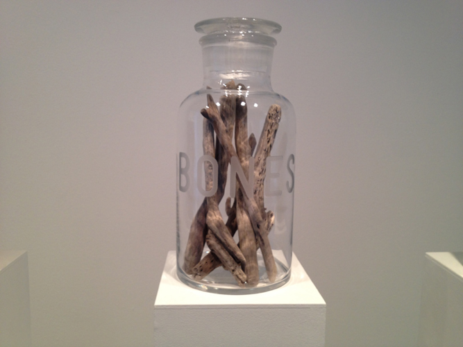 Installation View: Mathilde Roussel's <i>Anatomia Botanica</i> at Cheekwood