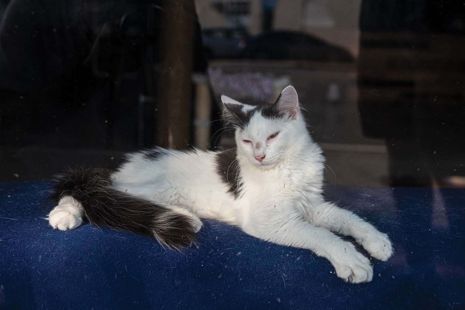 Walk a Mile: Nolensville Pike