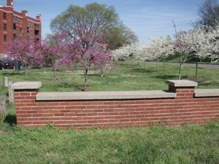 Dallas H. Neil Park: A Review