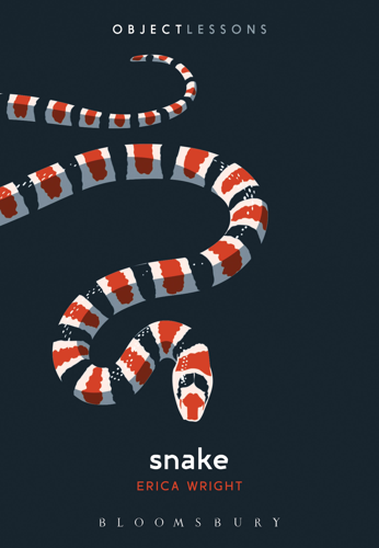 Erica Wright Takes a Sympathetic Look at Serpents in <i>Snake</i>