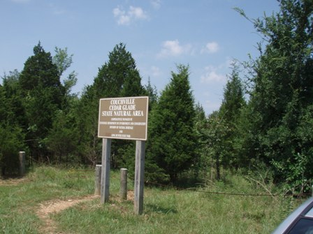 Couchville Cedar Glade State Natural Area — A Review (Tennessee Coneflower Edition)