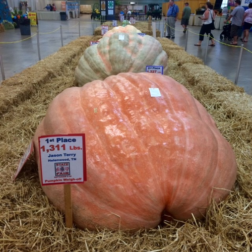 Fairest of the Tennessee State Fair Fare (2016 Edition)