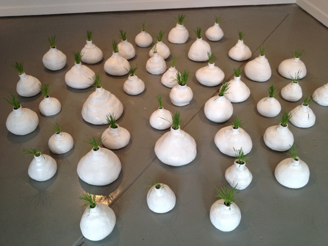 Installation View: Mathilde Roussel's <i>Anatomia Botanica</i> at Cheekwood