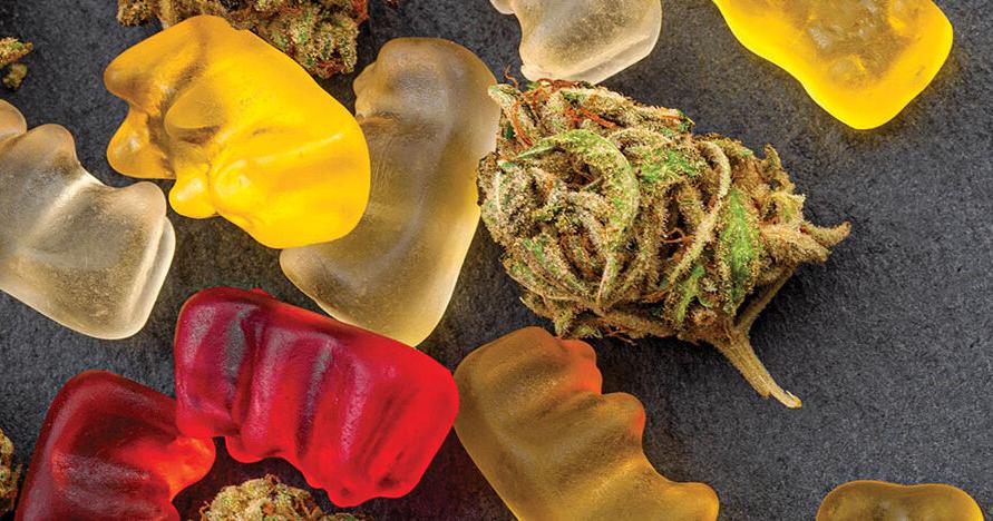 Into the Weeds: The Tennessee Cannabinoid Garden Guide
