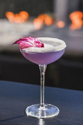 Violet Mama at Park Cafe