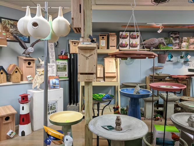 Shop Hop: The Wood Thrush