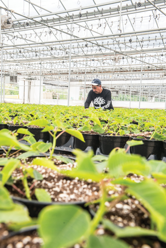 The Uncertain Fate of Migrant Workers and Their Families