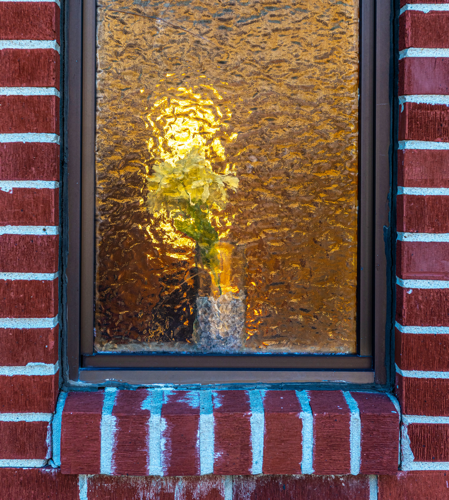 Walk a Mile: Buena Vista Heights