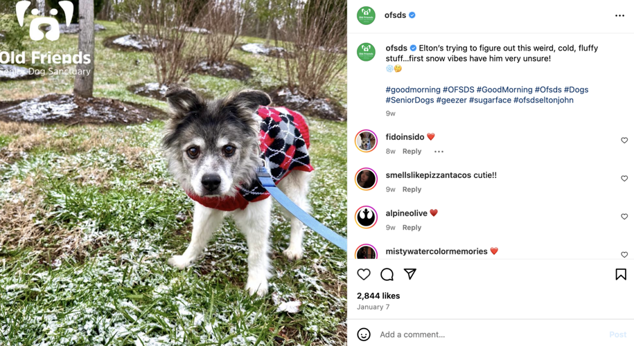 Screenshot 2025-03-11 at 3.36.28 PM.png