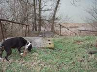 Lock One Park: A Review