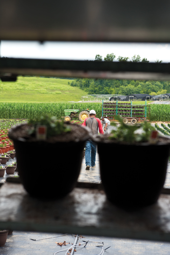 The Uncertain Fate of Migrant Workers and Their Families