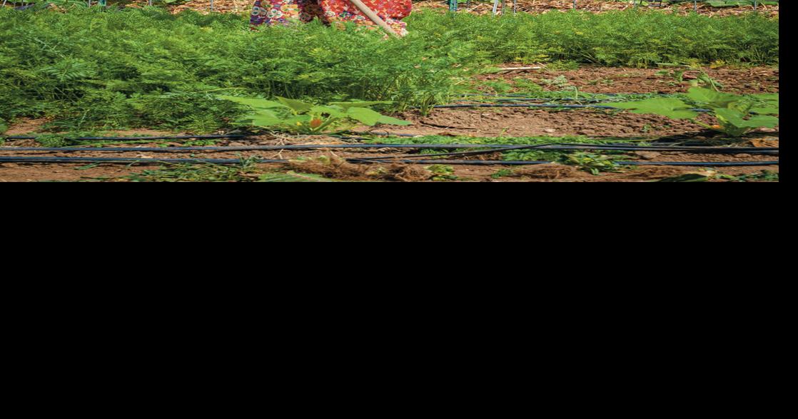 Growing Together — The Nashville Food Project Readerspoll