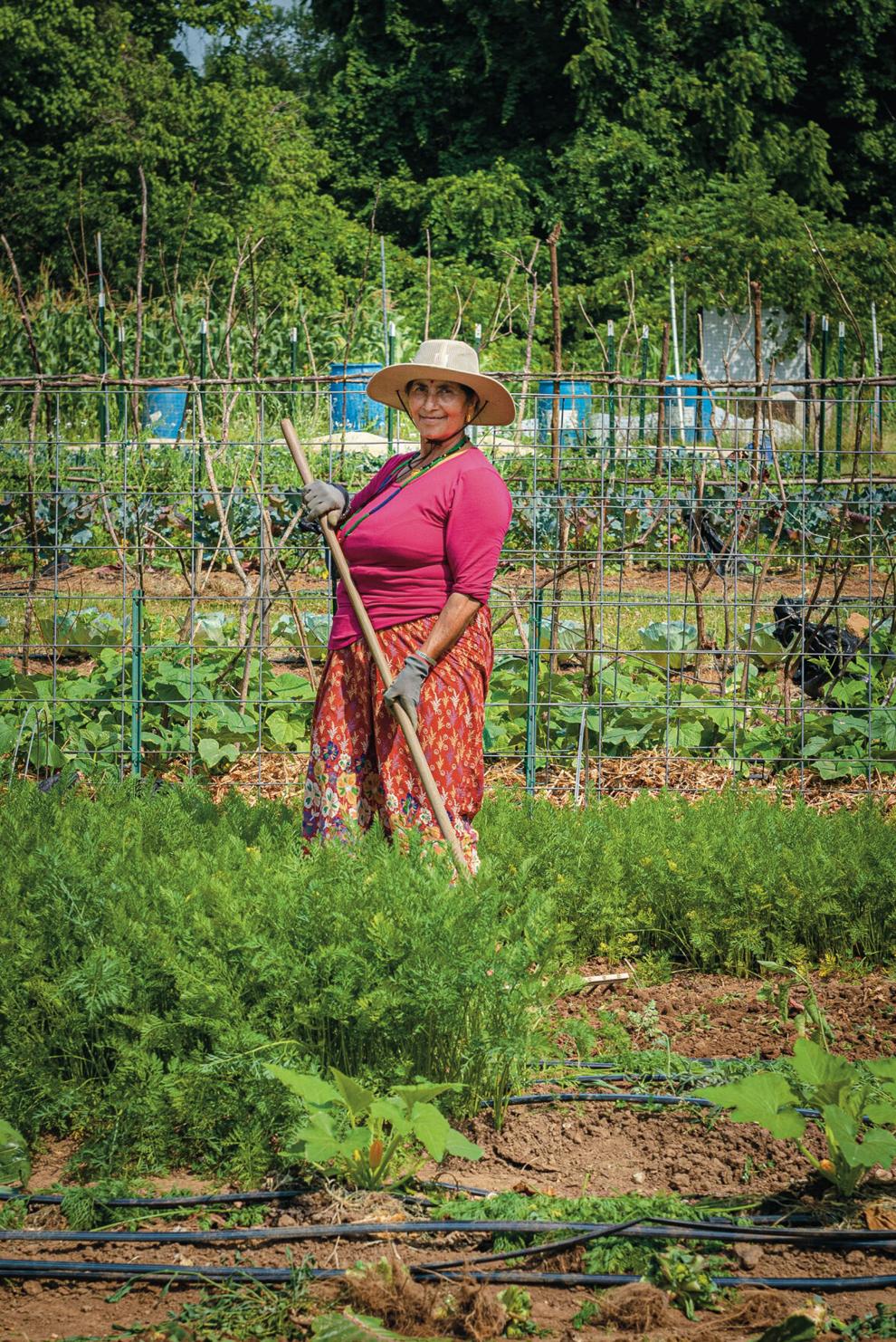 Growing Together — The Nashville Food Project Readerspoll
