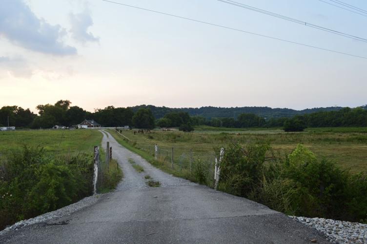 Looking north from Morton Mill Road at the site of the proposed Ariza Bellevue development