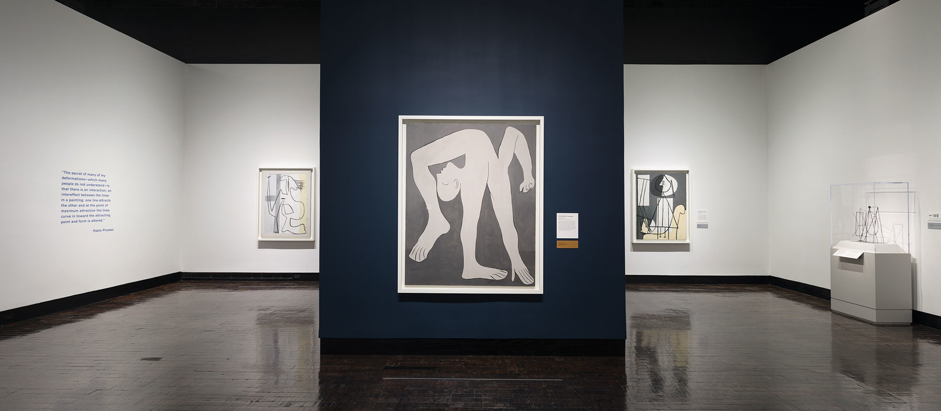 picasso exhibit frist