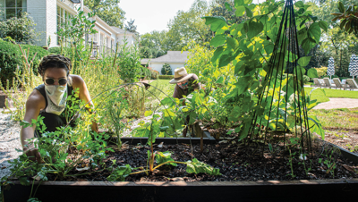 Best Landscaping Company