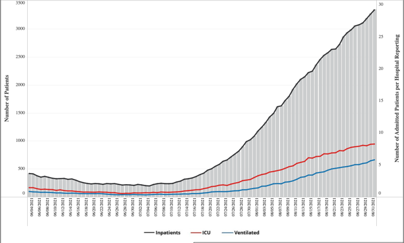 COVID Hospitalizations 8/31