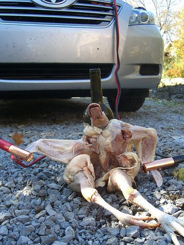 A Post-Halloweird Treat