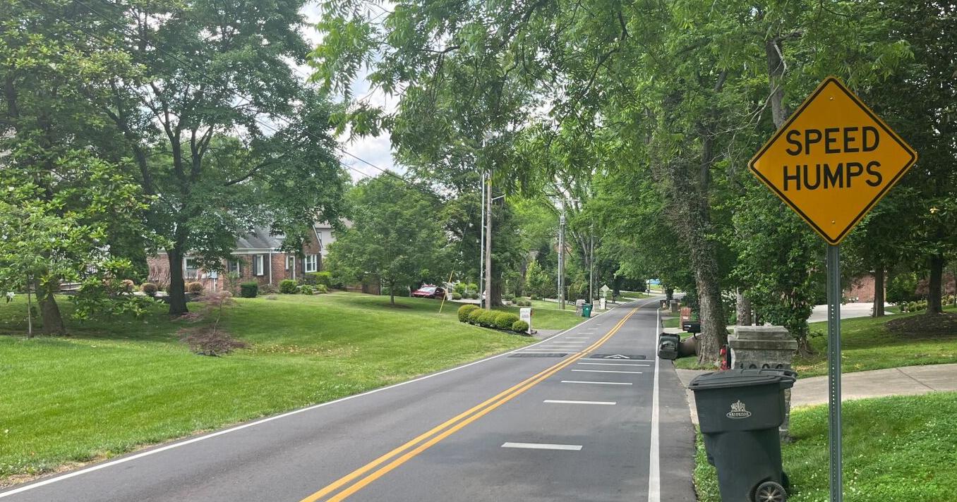 Slowing Down Neighborhood Traffic - Vimarsana News