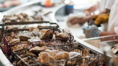 Saltine, a Sister Restaurant to Etch, Will Open on West End