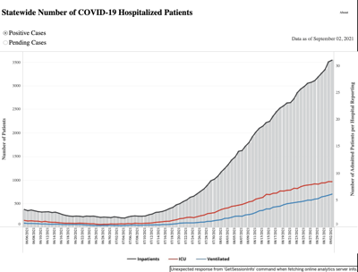 COVID hospitalizations 9/2/21