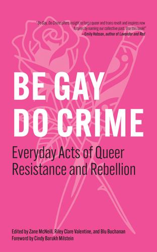 booksBE-GAY-DO-CRIME-9798887441306_FC-(1).jpg