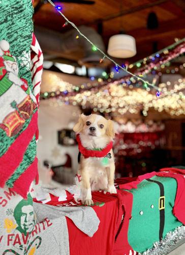 Levon at Saint Nicky's