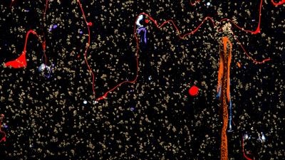 Amid the Noise: chatterbird with Jason Treuting