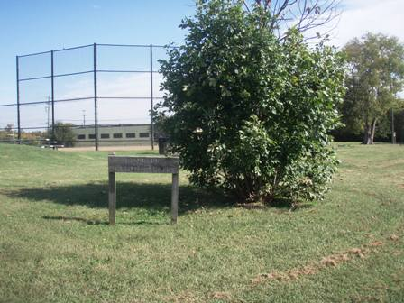 The Confederate Cemetery Tour at Mt. Olivet
