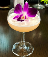 Best Bar Crawl Without Having to Go Outside